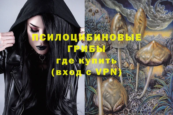 ALPHA PVP Новозыбков