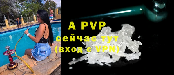 ALPHA PVP Новозыбков