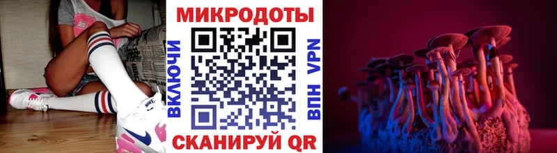 блэк спрут ссылки Кукмор Псилоцибиновые грибы Psilocybe
